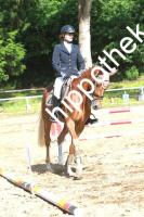2014-06-13: Dollgeliebt  bei Reitturnier in Poseritz