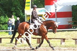 2014-06-13: Caitma R  bei Reitturnier in Poseritz
