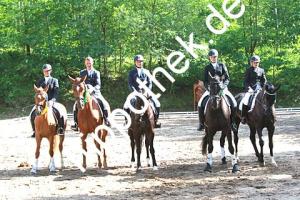 2014-06-13:  bei Reitturnier in Poseritz