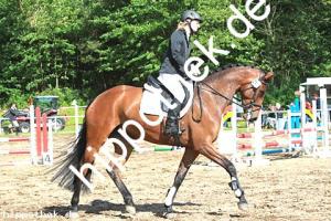 2014-06-13: Lotta GM  bei Reitturnier in Poseritz