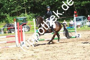2014-06-13: Ladylike  bei Reitturnier in Poseritz