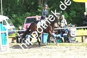 2014-06-13: Ladylike  bei Reitturnier in Poseritz
