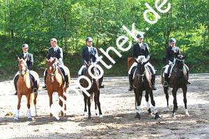 2014-06-13:  bei Reitturnier in Poseritz