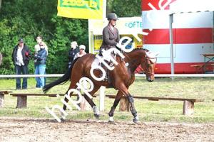 2014-06-13: Caitma R  bei Reitturnier in Poseritz
