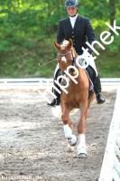 2014-06-13:  bei Reitturnier in Poseritz