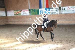 2015-04-18: Royal Rosy  bei Dressurturnier in Zierow