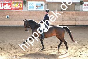 2015-04-18: Royal Rosy  bei Dressurturnier in Zierow