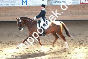 2015-04-18: Semino  bei Dressurturnier in Zierow