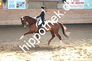 2015-04-18: Semino  bei Dressurturnier in Zierow
