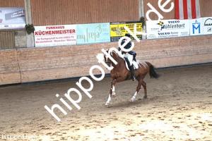 2015-04-18: Semino  bei Dressurturnier in Zierow