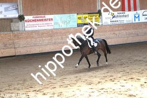 2015-04-18: Royal Rosy  bei Dressurturnier in Zierow