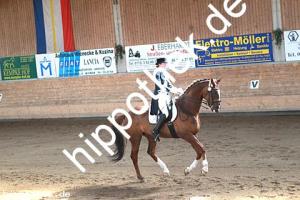2015-04-18: Semino  bei Dressurturnier in Zierow