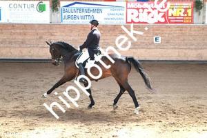 2015-04-18: Royal Rosy  bei Dressurturnier in Zierow