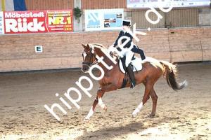 2015-04-18: Semino  bei Dressurturnier in Zierow