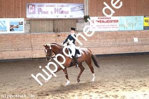 2015-04-18: Semino  bei Dressurturnier in Zierow