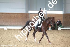 2016-03-12: Nitana  bei Dressur in Redefin