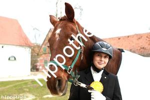 2016-03-12:  bei Dressur in Redefin