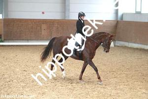 2016-03-12: Nitana  bei Dressur in Redefin