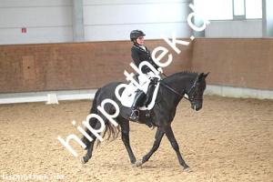 2016-03-12: Dark George  bei Dressur in Redefin