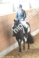 2016-03-12: Dark George  bei Dressur in Redefin