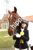 2016-03-12:  bei Dressur in Redefin