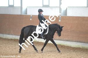 2016-03-12: Dark George  bei Dressur in Redefin