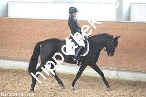 2016-03-12: Dark George  bei Dressur in Redefin