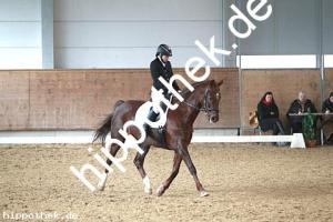 2016-03-12: Nitana  bei Dressur in Redefin