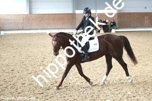 2016-03-12: Nitana  bei Dressur in Redefin