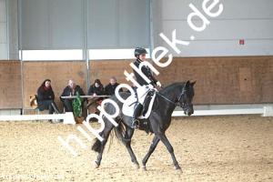2016-03-12: Dark George  bei Dressur in Redefin