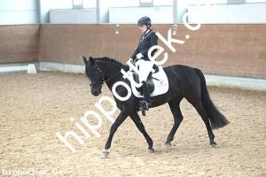 2016-03-12: Dark George  bei Dressur in Redefin