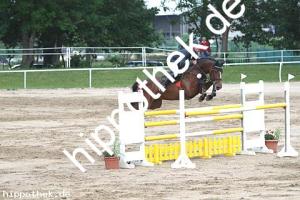 2016-05-29: Crystall  bei Reitturnier in Dummerstorf