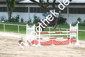 2016-05-29: Chaleen  bei Reitturnier in Dummerstorf