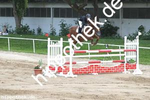 2016-05-29: Libero  bei Reitturnier in Dummerstorf