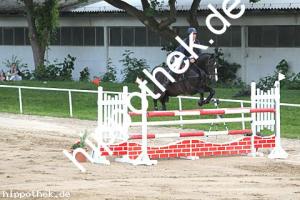 2016-05-29: Chasseur  bei Reitturnier in Dummerstorf
