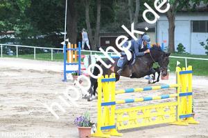 2016-05-29: Chaleen  bei Reitturnier in Dummerstorf