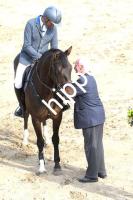 2016-05-29:  bei Reitturnier in Dummerstorf