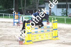 2016-05-29: Chanel M  bei Reitturnier in Dummerstorf