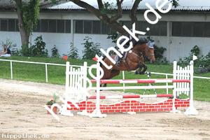 2016-05-29: Charmina  bei Reitturnier in Dummerstorf