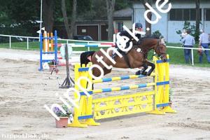 2016-05-29: Cenny  bei Reitturnier in Dummerstorf