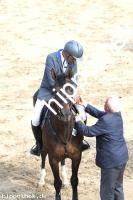 2016-05-29:  bei Reitturnier in Dummerstorf