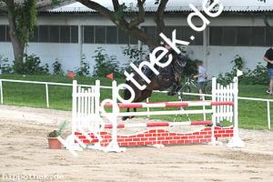 2016-05-29: Carlotta Caramba  bei Reitturnier in Dummerstorf