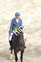 2016-05-29:  bei Reitturnier in Dummerstorf