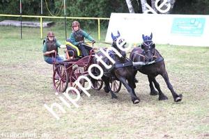 2016-07-17:  bei Reitturnier in Blowatz