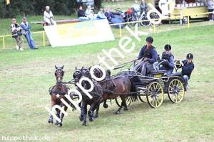 2016-07-17:  bei Reitturnier in Blowatz