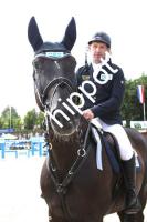 2016-07-24:  bei CSI Reitturnier in Groß Viegeln