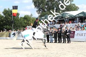 2016-07-24: Silver Surfer  bei CSI Reitturnier in Groß Viegeln