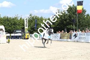 2016-07-24: Silver Surfer  bei CSI Reitturnier in Groß Viegeln