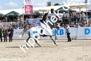 2016-07-24: Silver Surfer  bei CSI Reitturnier in Groß Viegeln