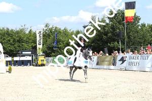 2016-07-24: Silver Surfer  bei CSI Reitturnier in Groß Viegeln